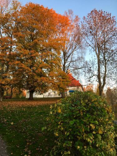 Hotel Wij Tr�dg�rdar