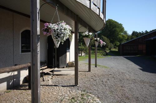 Apartamento Hallag�rde G�rd