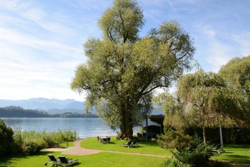 Posada Hotel Swiss Chalet