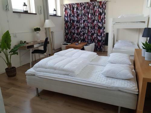 Hostal Alkoven Logi