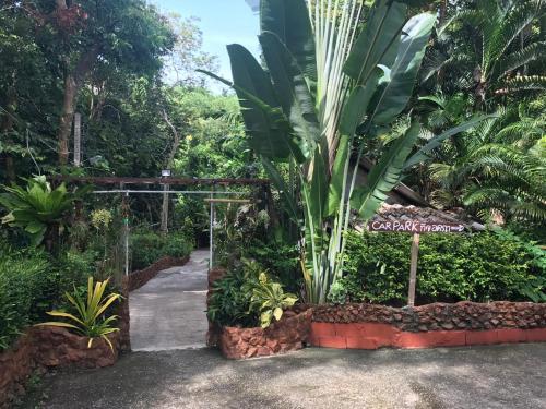 Hotel Pine Bungalow Krabi