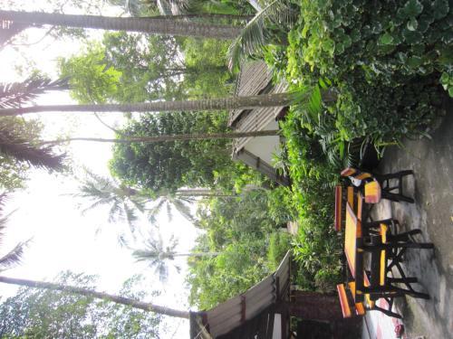 Hotel Pine Bungalow Krabi