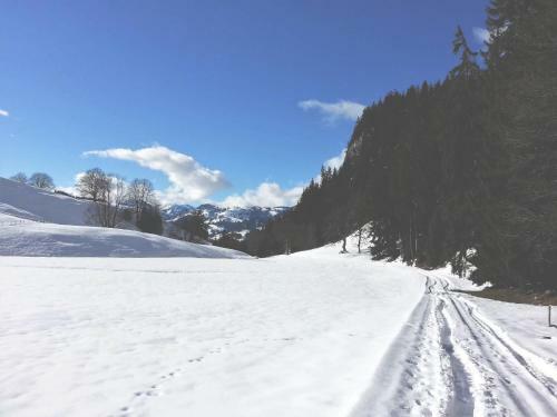 Apartamento Adlemsried