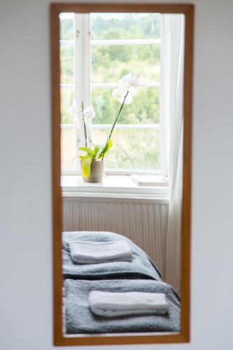 Hostal F�r�g�rden Bed & Breakfast