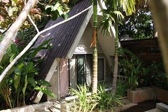 Hotel At Nata Chiangmai Chic Jungle