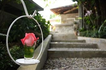 Hotel At Nata Chiangmai Chic Jungle