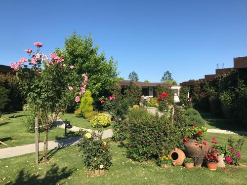 Riva's Club Hotel