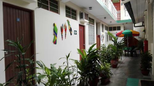 Albergue Hostal El Colibr�
