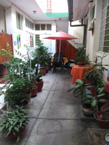Albergue Hostal El Colibr�