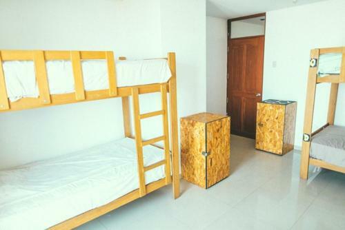 Hostal Frogs Chillhouse Hostel