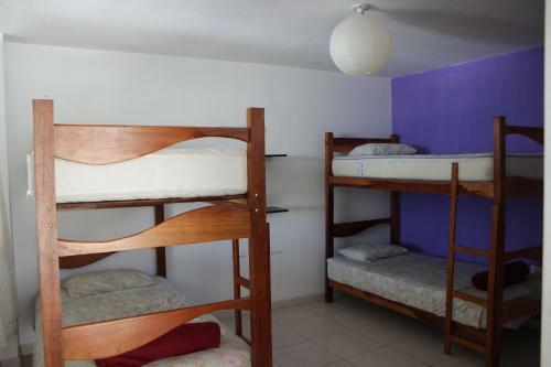 Hostal Frogs Chillhouse Hostel