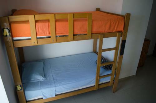 Hostal Frogs Chillhouse Hostel