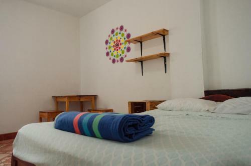 Hostal Frogs Chillhouse Hostel