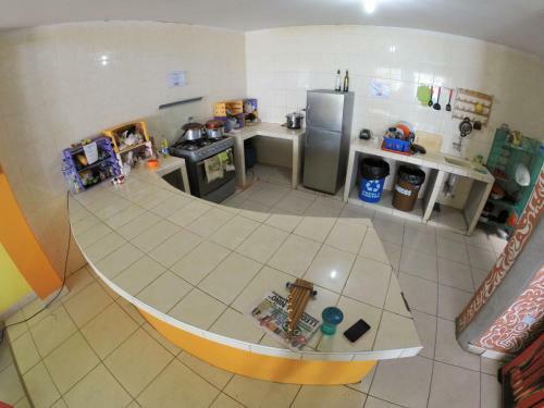 Hostal Frogs Chillhouse Hostel