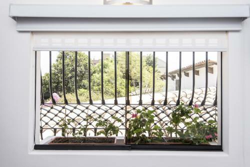 Apartamento Posada Bella