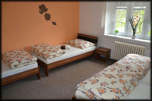 Hostal Penzion Restaurant U Kohoutka