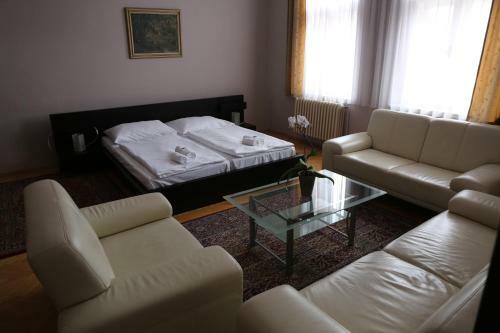 Hotel Zlat� ?tika