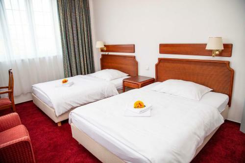 Hotel S-centrum D??�n