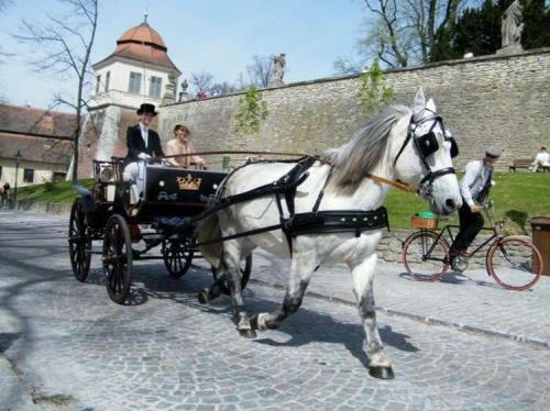 Hostal Penzion V Podz�m?� Litomy?l