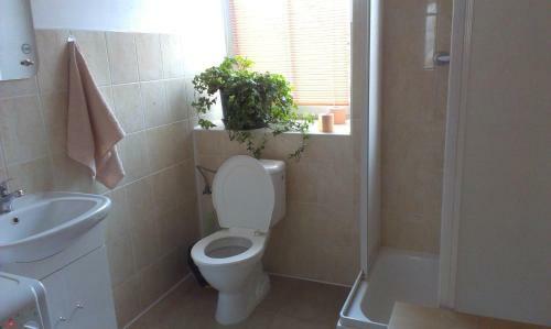 Apartamentos Pension Doctor