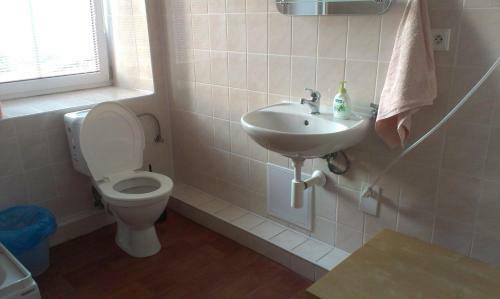 Apartamentos Pension Doctor