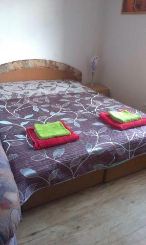 Apartamentos Pension Doctor