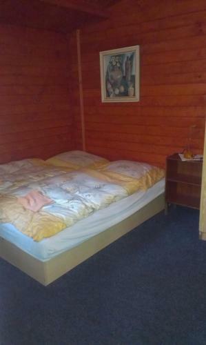 Apartamentos Pension Doctor