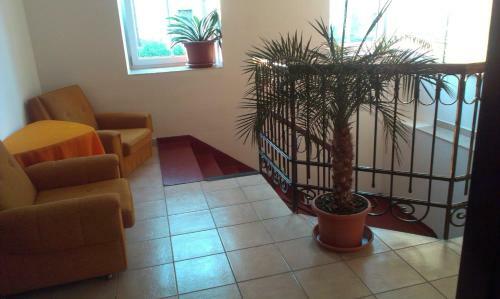Apartamentos Pension Doctor