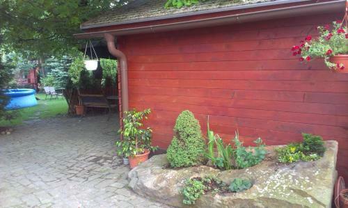 Apartamentos Pension Doctor