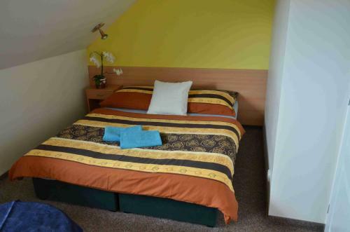 Hostal Penzion Aura