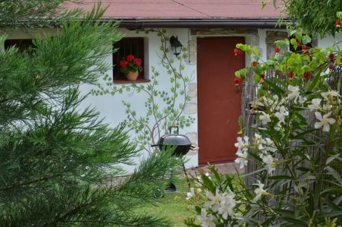 Hostal Penzion Aura
