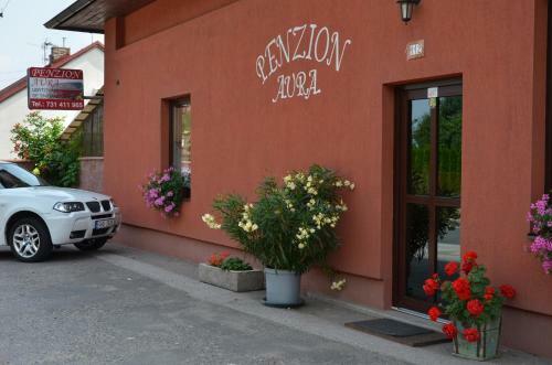 Hostal Penzion Aura