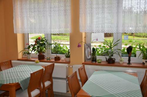 Hostal Penzion Aura