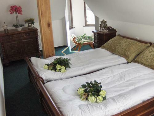 Hostal Romantic Chateau Krasna Lipa
