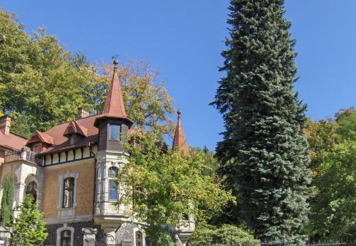 Hostal Romantic Chateau Krasna Lipa