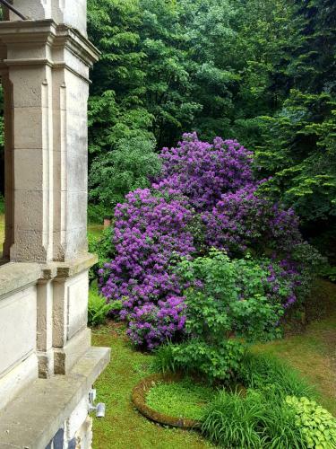 Hostal Romantic Chateau Krasna Lipa