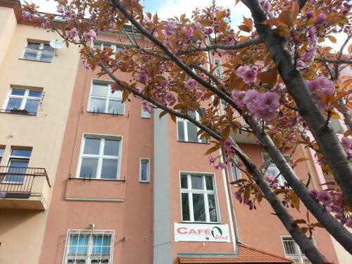 Apartamento Caf� Dlask