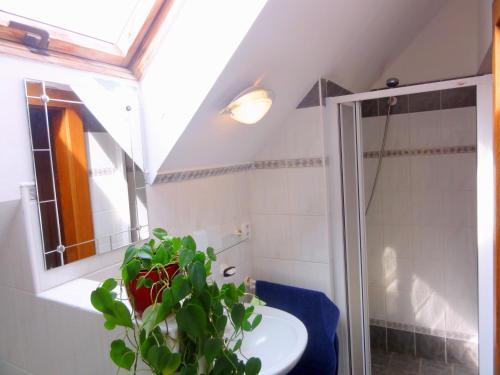 Hostal Penzion Dubina