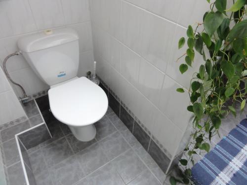 Hostal Penzion Dubina