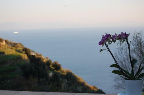 Tenuta Mamma Carmela