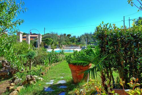Apartamento La Casa Fra Gli Ulivi