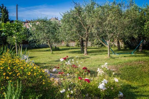 Apartamento La Casa Fra Gli Ulivi