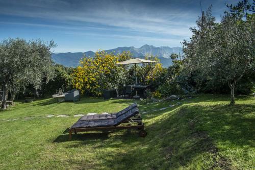 Apartamento La Casa Fra Gli Ulivi