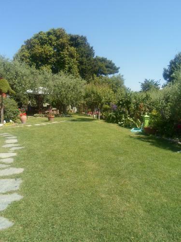 Apartamento La Casa Fra Gli Ulivi