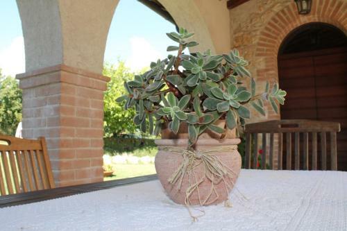 Agroturismo Agriturismo Poggio Della Rosa