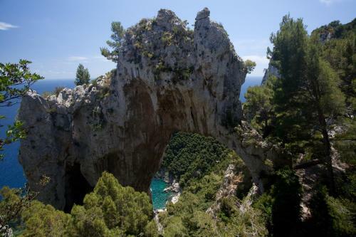 Alle Ginestre Capri B&B