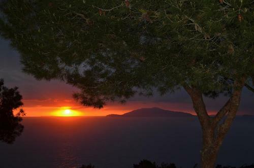 Alle Ginestre Capri B&B