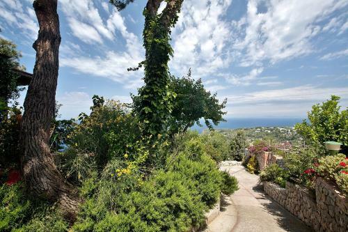 Alle Ginestre Capri B&B