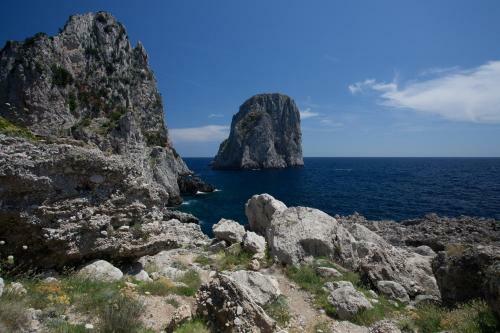 Alle Ginestre Capri B&B