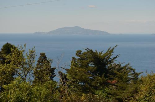 Alle Ginestre Capri B&B